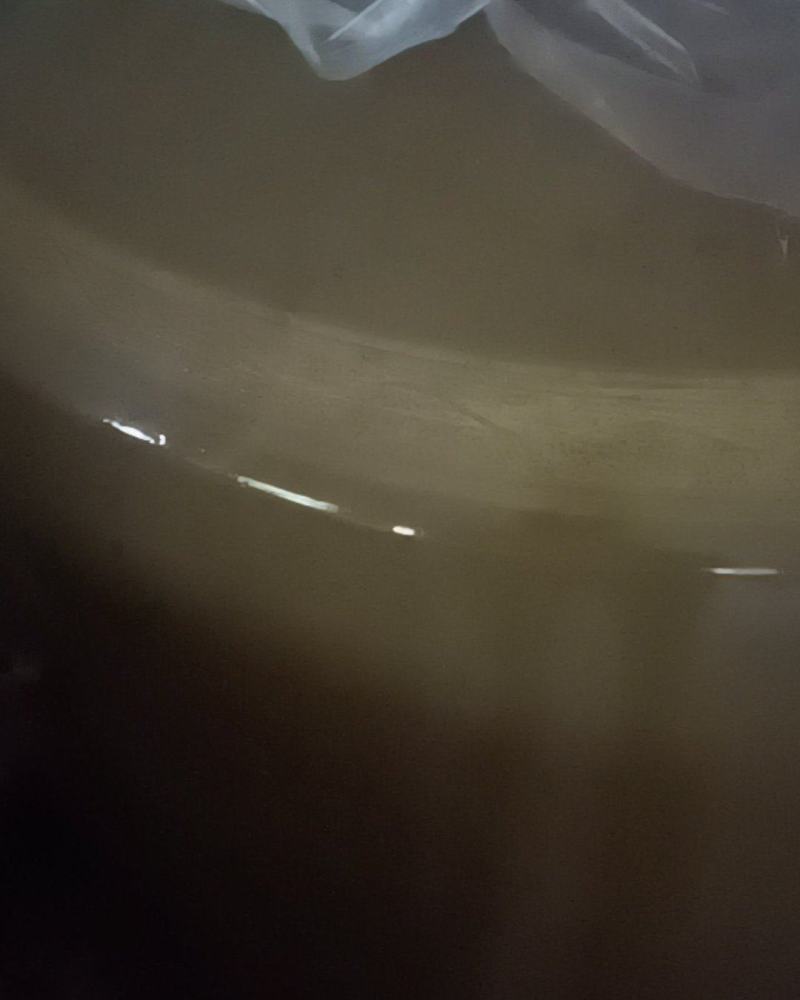 贵州纯粮包谷酒