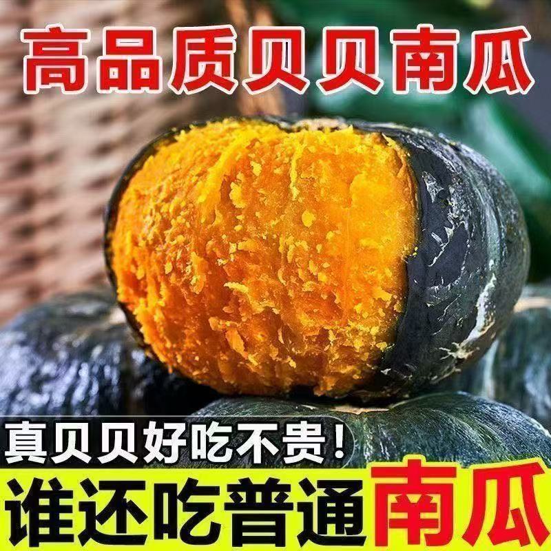 贝贝南瓜正宗真南瓜软糯香甜实力代发价格好