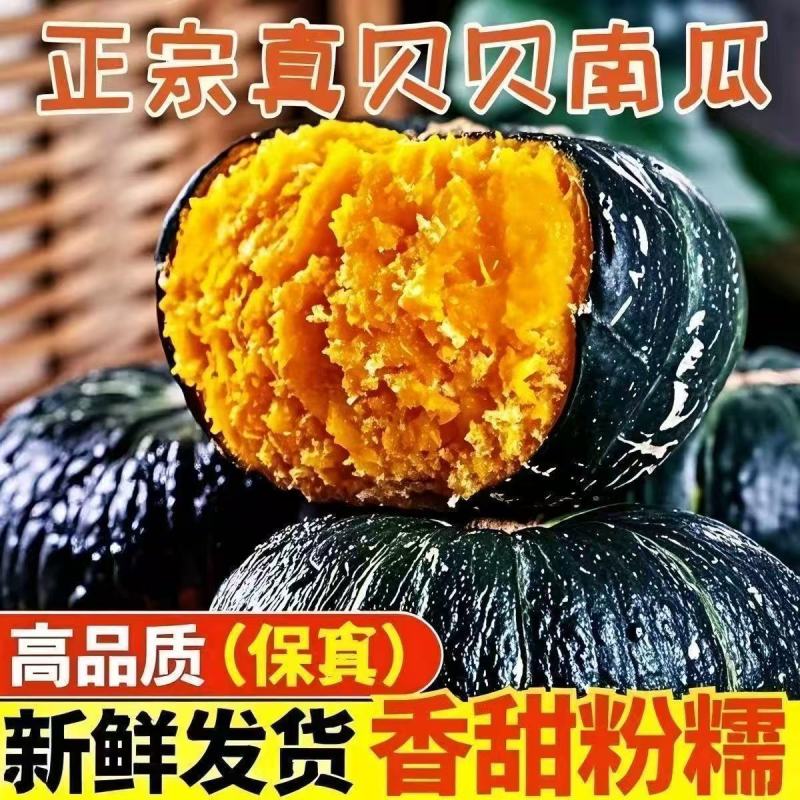 贝贝南瓜正宗真南瓜软糯香甜实力代发价格好