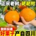 四川春见耙耙柑，产地一手货源量大优惠，水分足，甜度高，