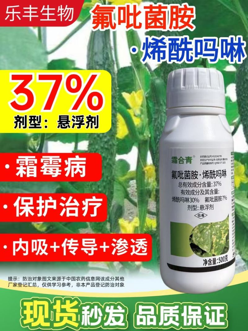 37%氟吡菌胺烯酰吗啉杀菌剂农药黄瓜霜霉病渗透性强耐雨水