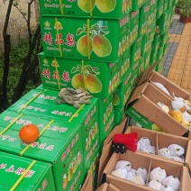 山西红香酥香梨🍐