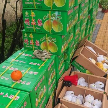山西红香酥香梨🍐