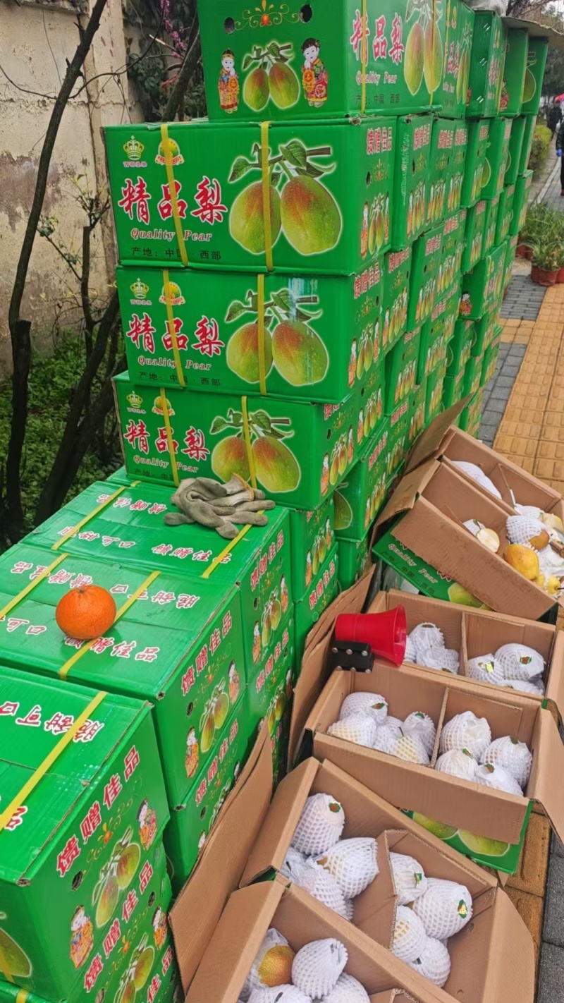 山西红香酥香梨🍐