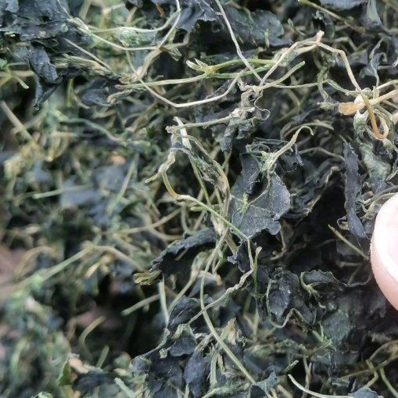江南特产秧草干，金花菜干，草头干大量供应