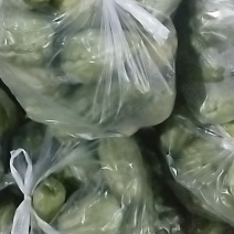 云南昆明佛手瓜
