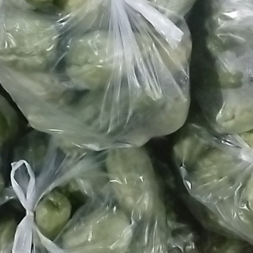 云南昆明佛手瓜
