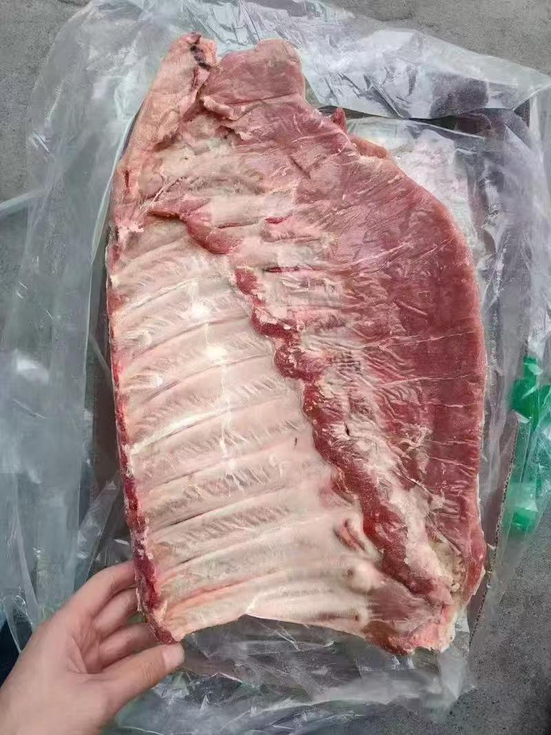 毛肋排