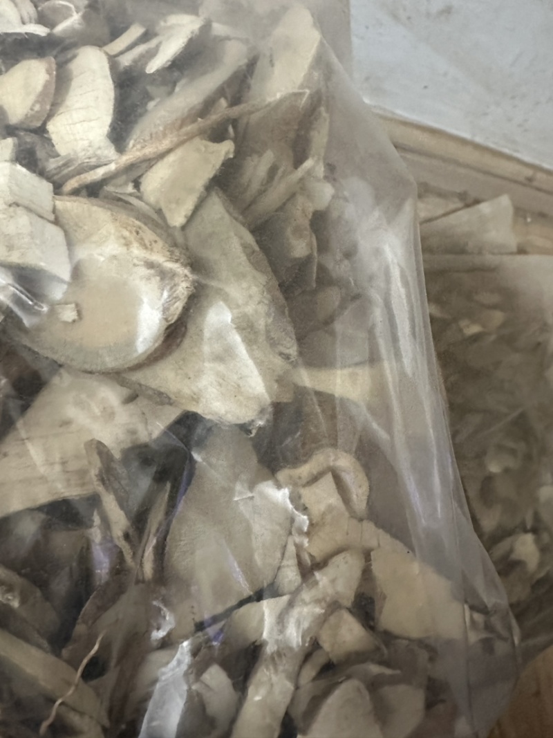 岗梅根实物拍摄各种冷背药材