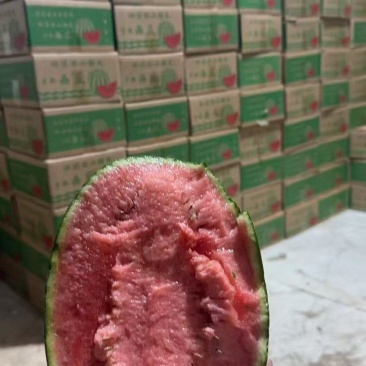 西瓜/甜王西瓜/基地供货/基地直发/对接全国采购商
