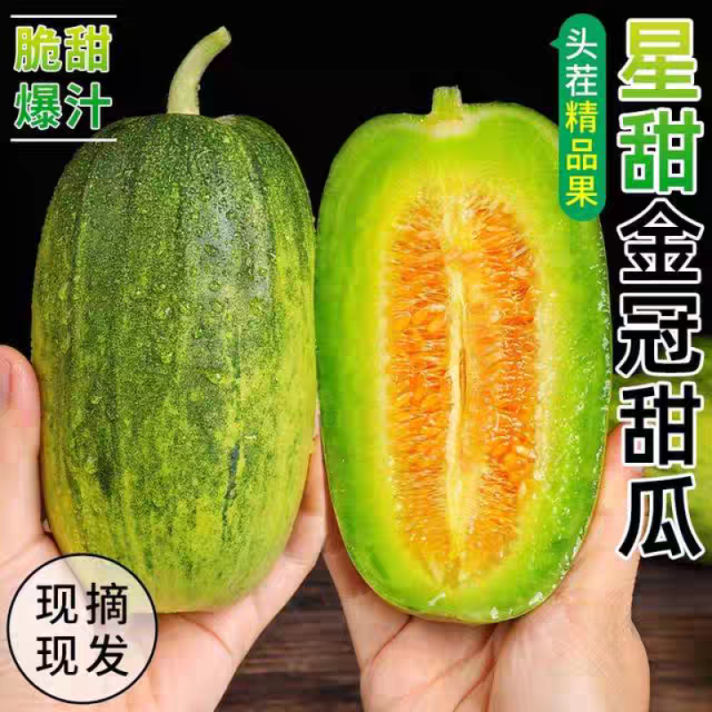 头茬星甜金冠甜瓜一件代发批量代发全渠道供应品质稳定供应链