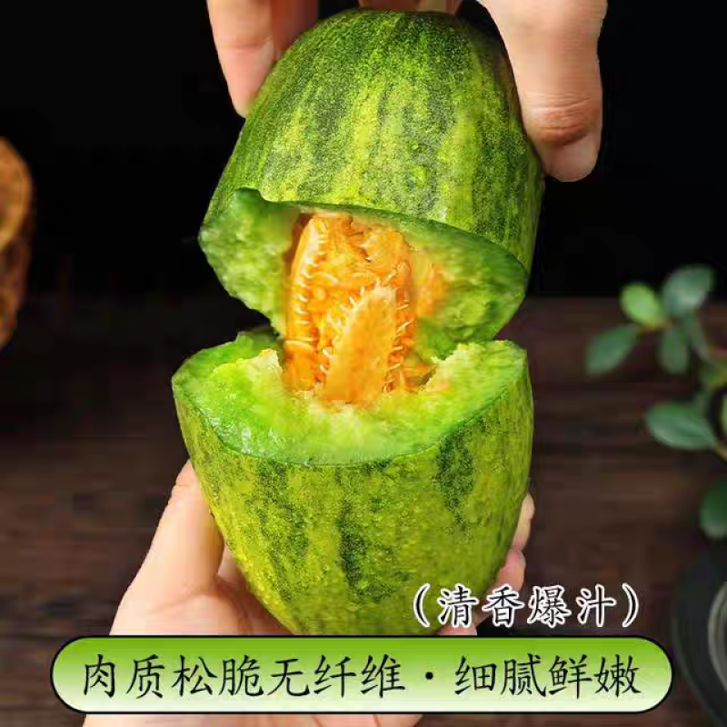 头茬星甜金冠甜瓜一件代发批量代发全渠道供应品质稳定供应链