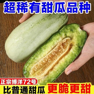 博洋72甜瓜一件代发供应电商团购市场批量代发品质稳定供应