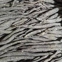 当归不含杂质全网低价保质保量