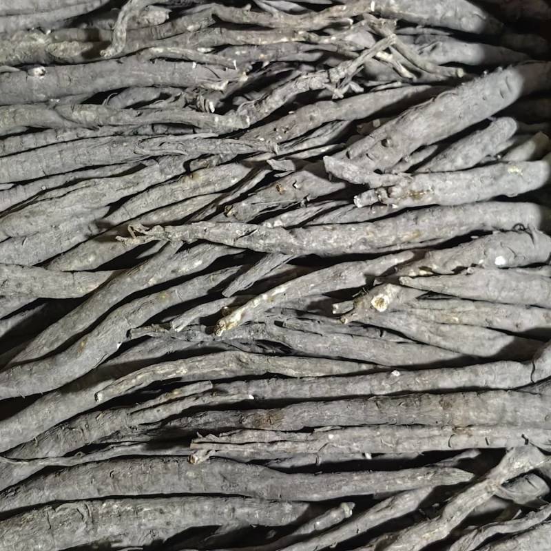 当归不含杂质全网低价保质保量