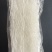 龙口粉丝球10g-20g-40g-50g-80可定制