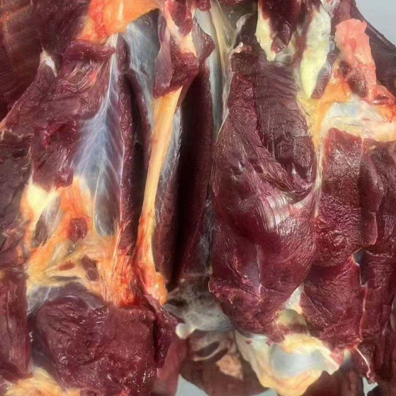 甘肃本地精品牦牛肉/量大从优/源头直发/欢迎下单联系