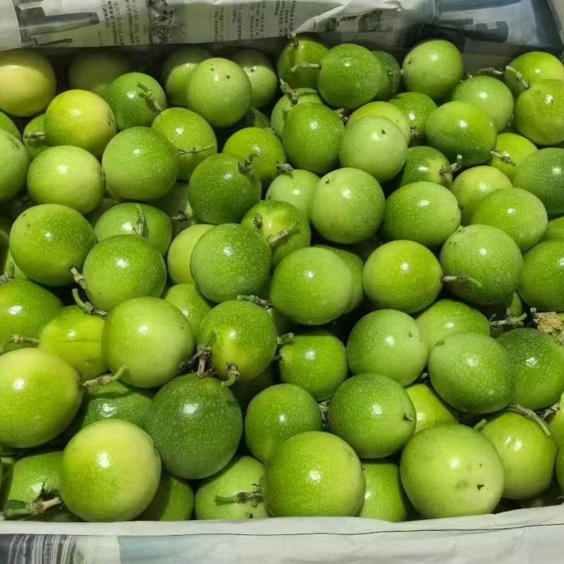 海南百香果黄金百香果基地直供货源充足欢迎老板实地
