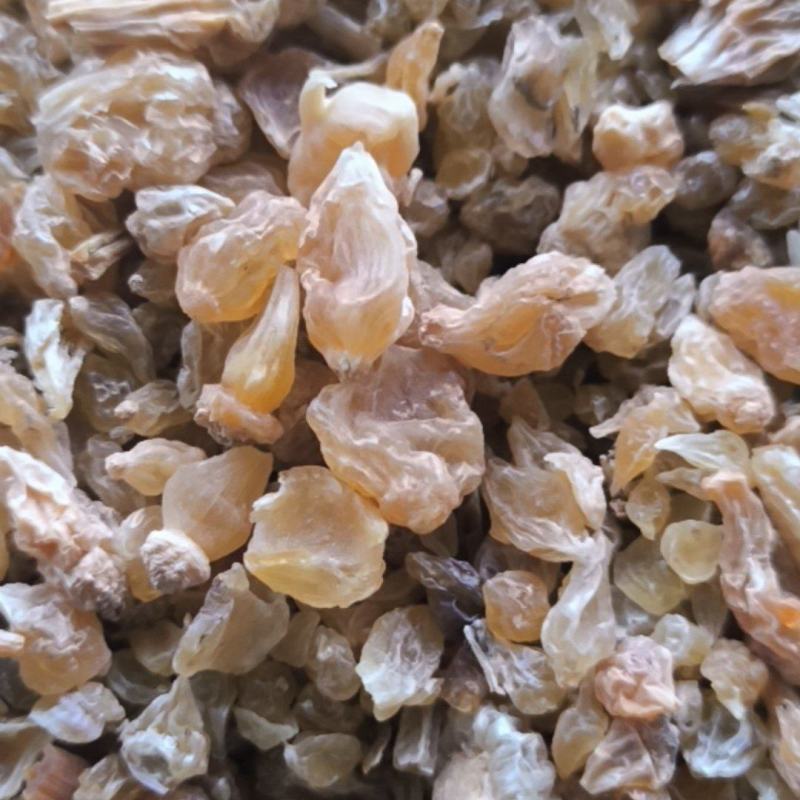薤白春雨药材批发各种规格中药材质量保证量大从优