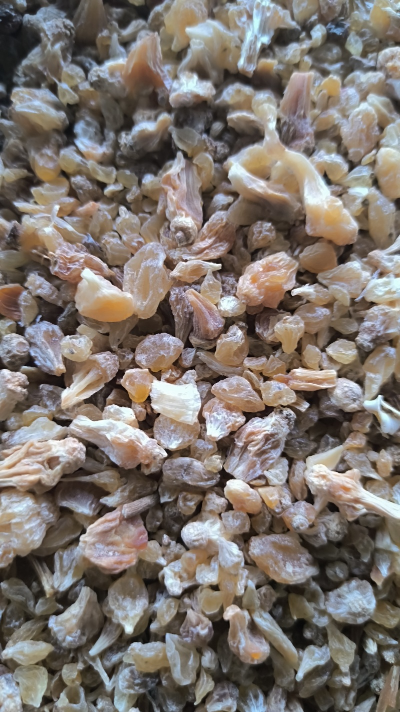 薤白春雨药材批发各种规格中药材质量保证量大从优