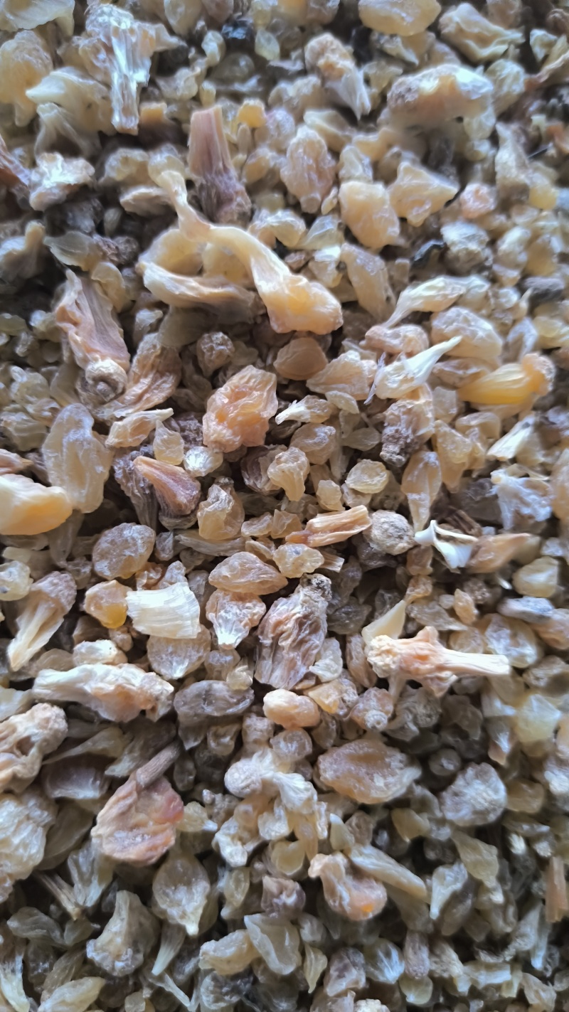 薤白春雨药材批发各种规格中药材质量保证量大从优
