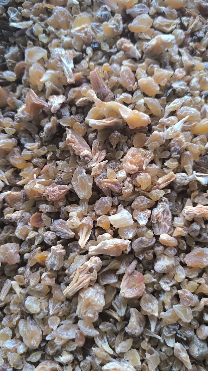 薤白春雨药材批发各种规格中药材质量保证量大从优