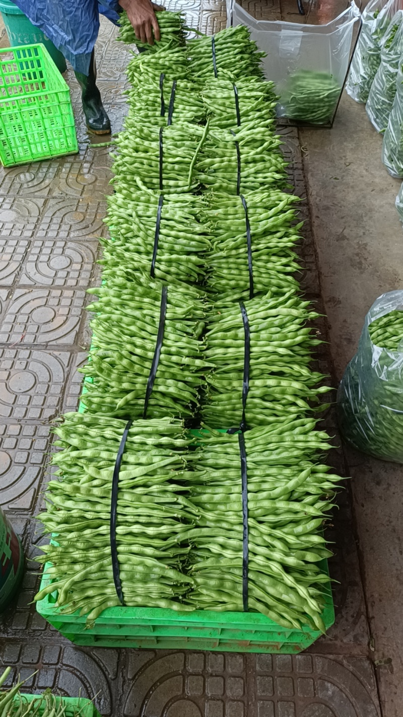 云南省弥勒大量大青豆上市，需要的可以联系了