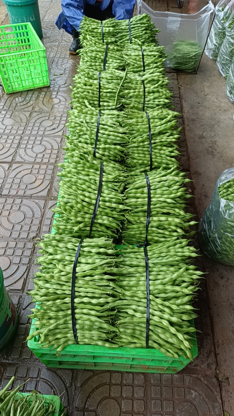 云南省弥勒大量大青豆上市，需要的可以联系了