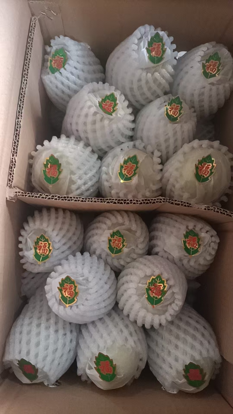 山西红香酥梨
