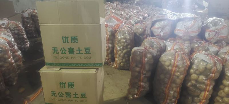 湖北精品沃土5号土豆产地直供全国各地档口商超可视频