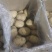 湖北精品沃土5号土豆产地直供全国各地档口商超可视频