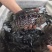 吊水花斑鱼活鱼现发，产地直发，质量优，价格实惠，