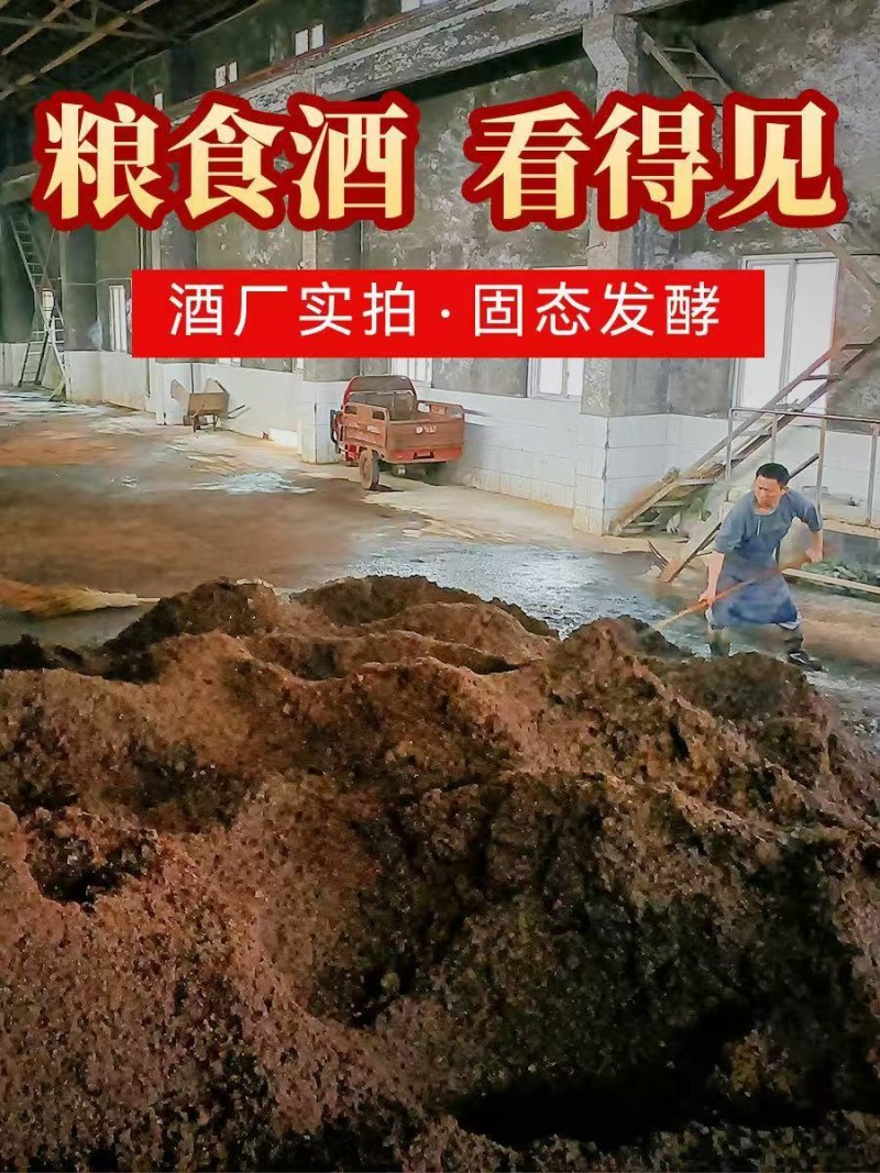 农家酿造纯粮食玉米酒基地直发量大从优欢迎来电洽谈合作
