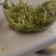 湘西黄金茶