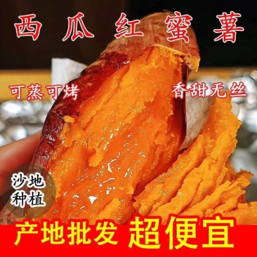 云南高原红薯沙地种植软糯香甜糖心蜜薯新鲜现挖红薯番薯