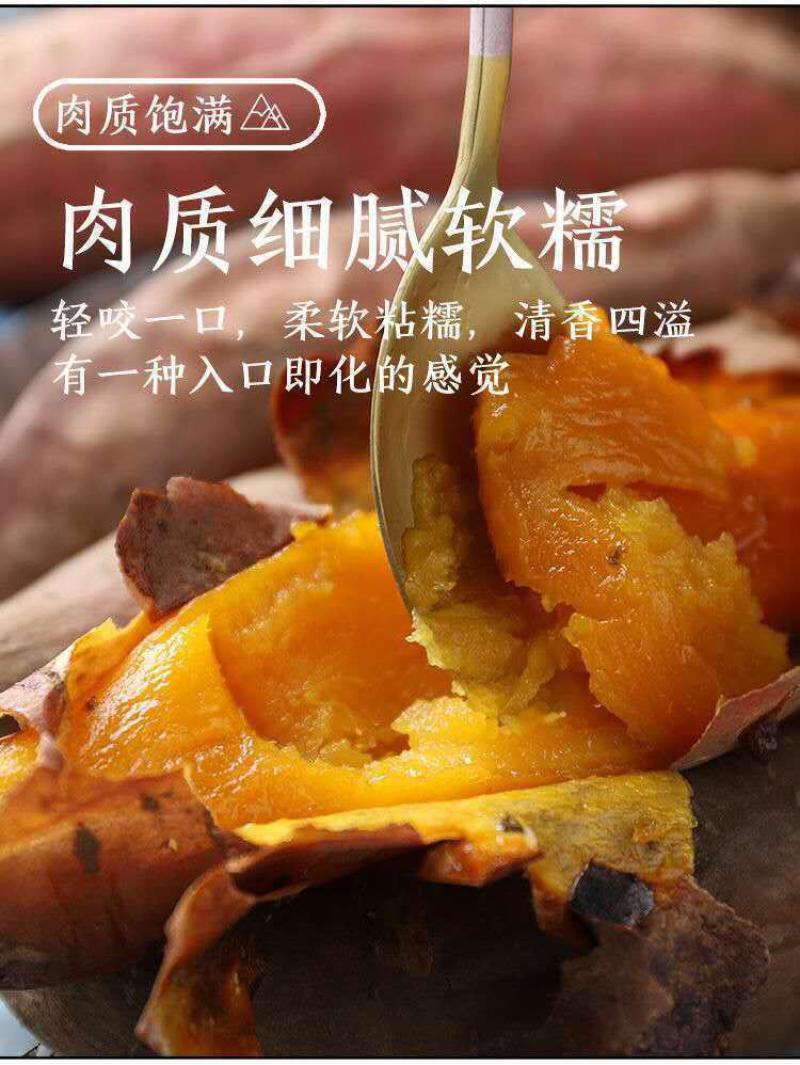 云南高原红薯沙地种植软糯香甜糖心蜜薯新鲜现挖红薯番薯