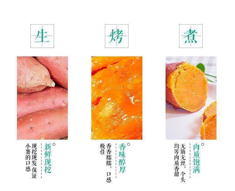 云南高原红薯沙地种植软糯香甜糖心蜜薯新鲜现挖红薯番薯