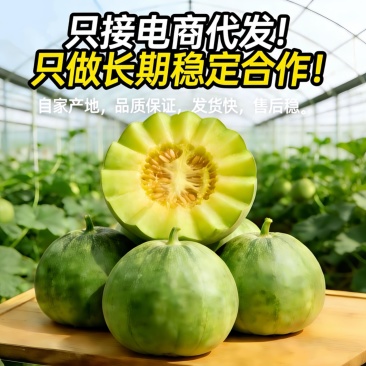 绿宝石甜瓜产地直供香甜多汁电商一件代发批发供货