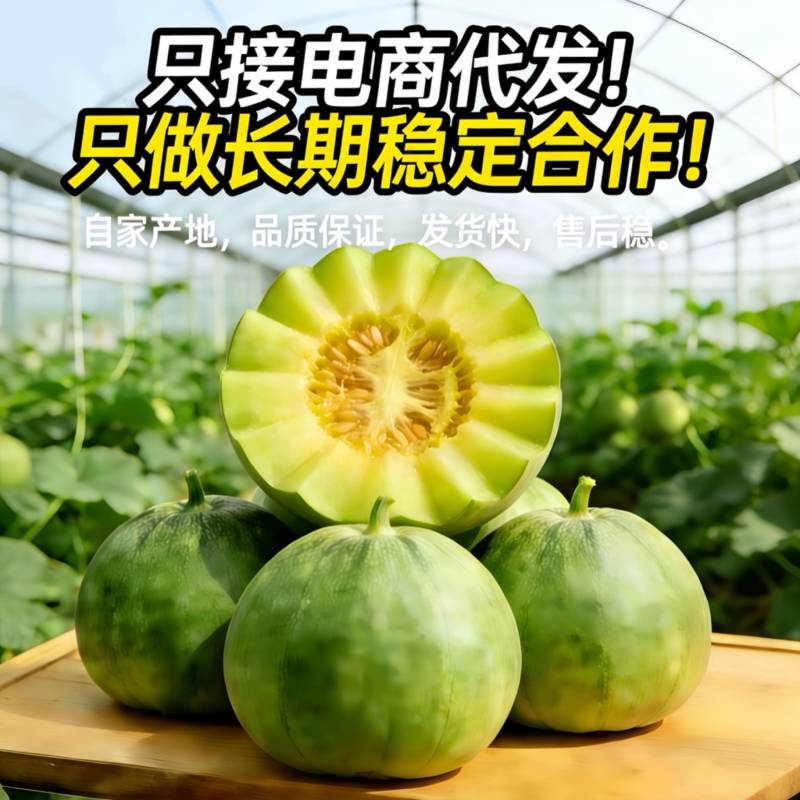 绿宝石甜瓜产地直供香甜多汁电商一件代发批发供货