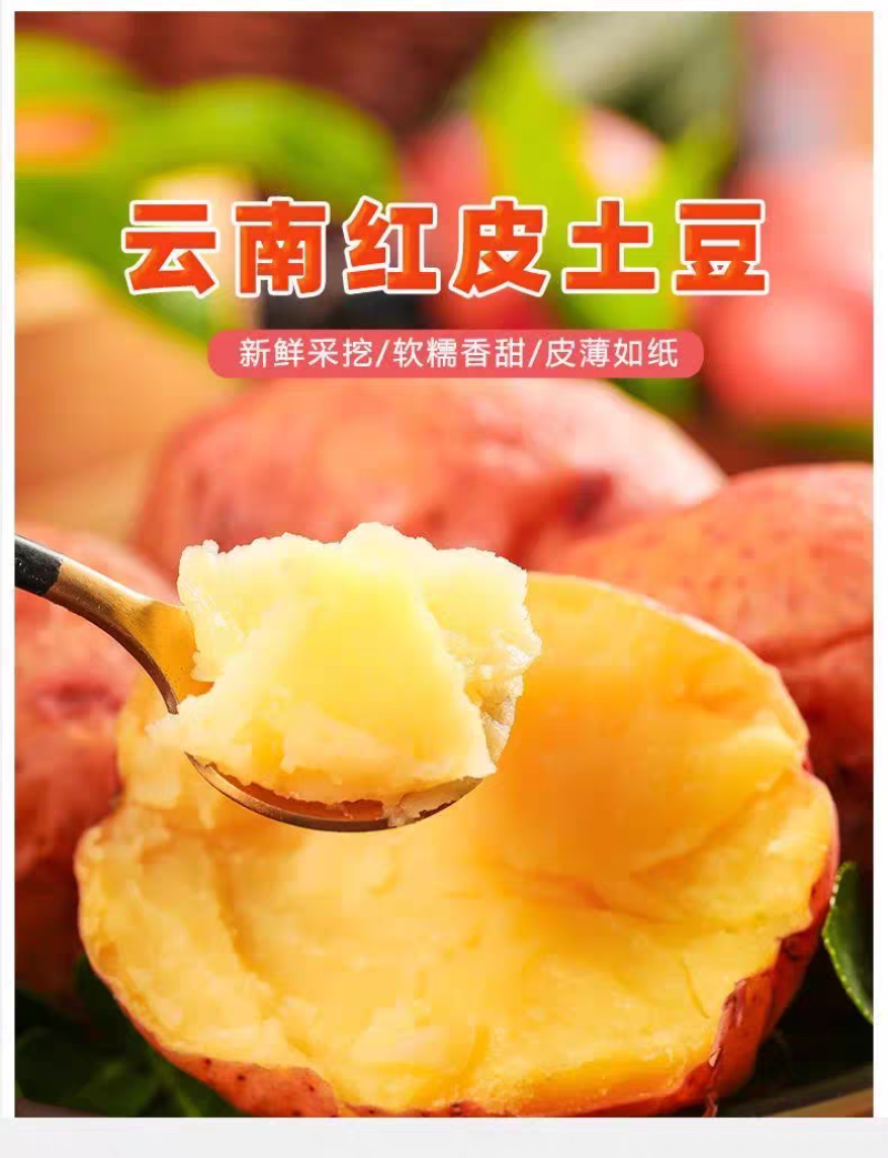 新鲜云南红皮土豆黄心大农家红洋芋蔬菜现挖现发新鲜蔬菜高山
