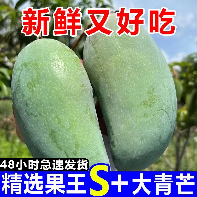 《一件代发》玉芒~大青芒~芒果对接各大电商平台日发万单包