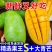《一件代发》玉芒~大青芒~芒果对接各大电商平台日发万单包