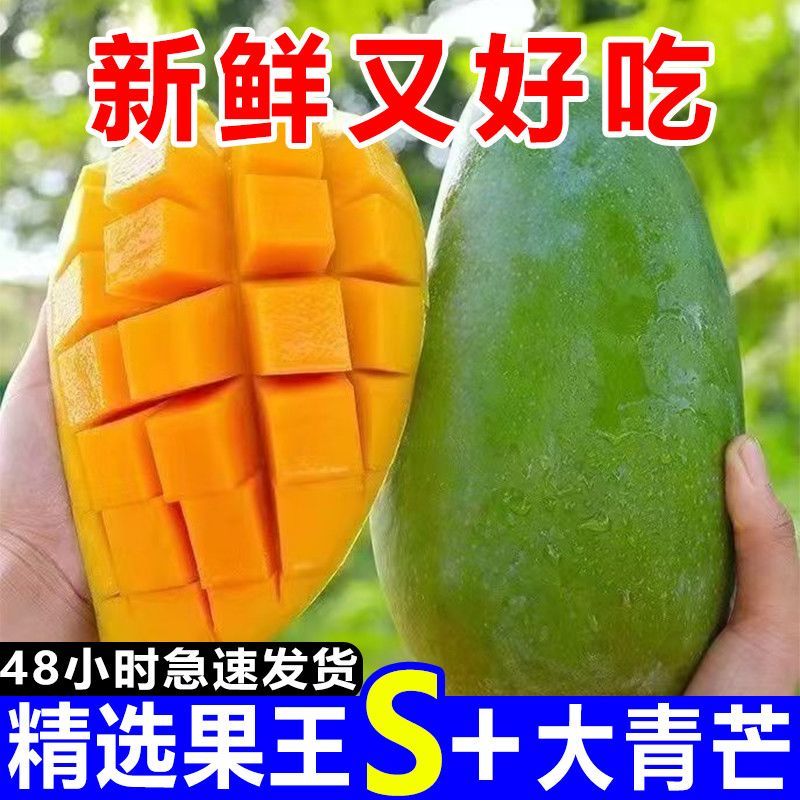 《一件代发》玉芒~大青芒~芒果对接各大电商平台日发万单包
