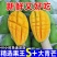《一件代发》玉芒~大青芒~芒果对接各大电商平台日发万单包