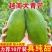 《一件代发》玉芒~大青芒~芒果对接各大电商平台日发万单包