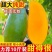 《一件代发》玉芒~大青芒~芒果对接各大电商平台日发万单包