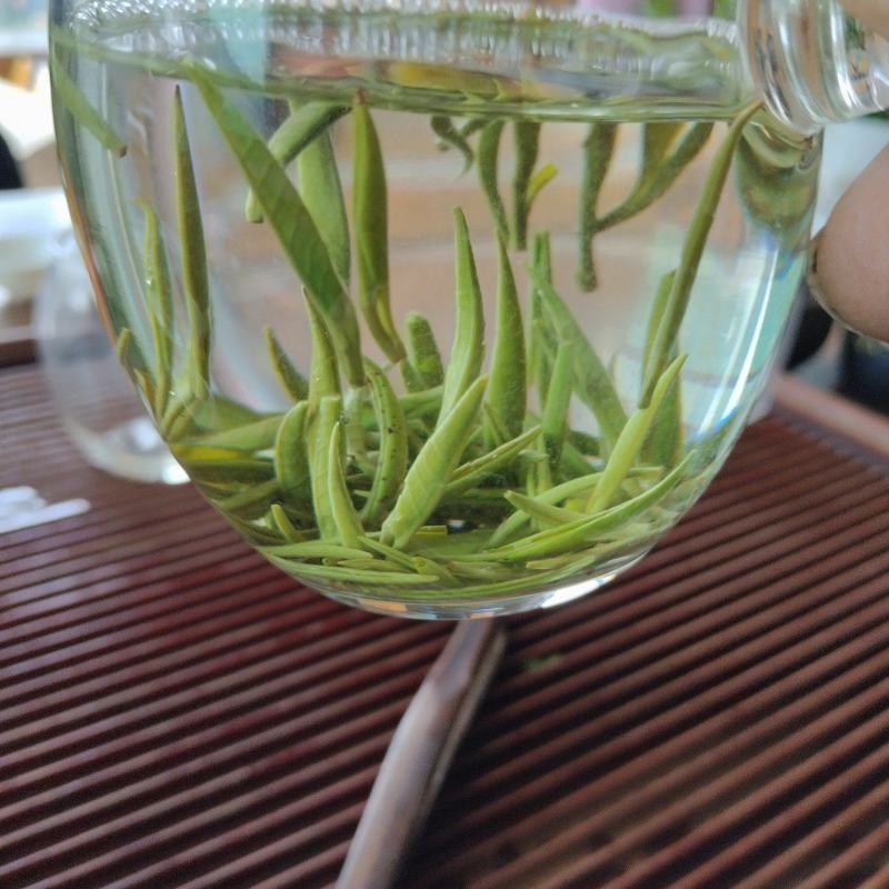 湘西黄金茶