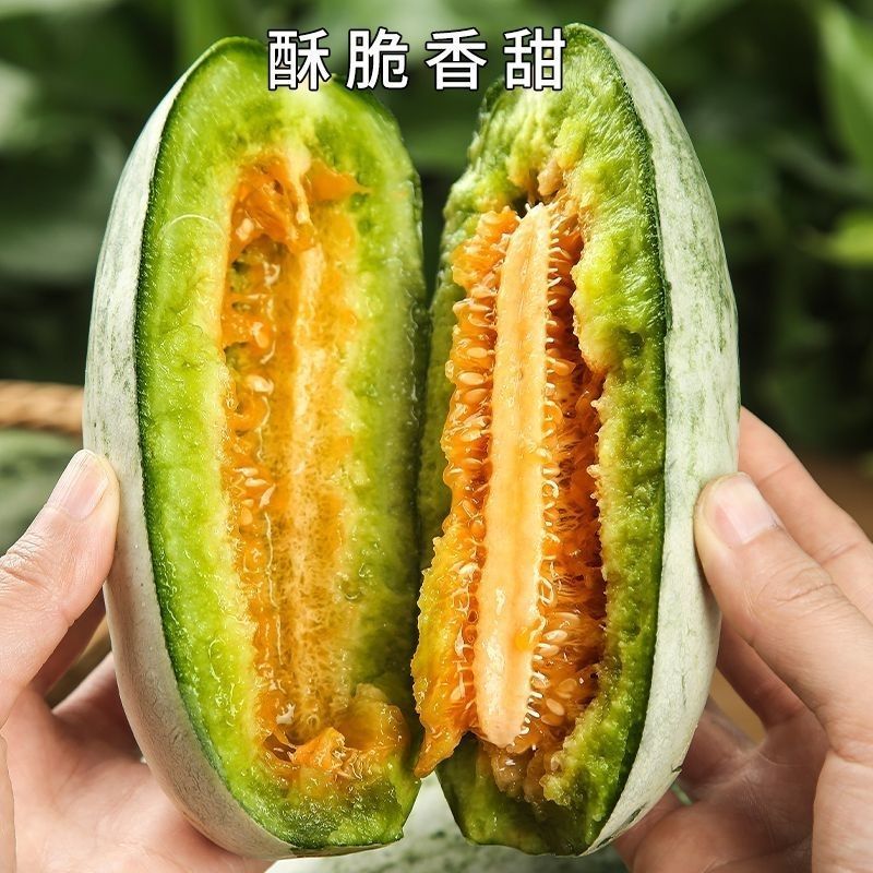 博洋72甜瓜一件代发对接电商平台私域团购品质保证