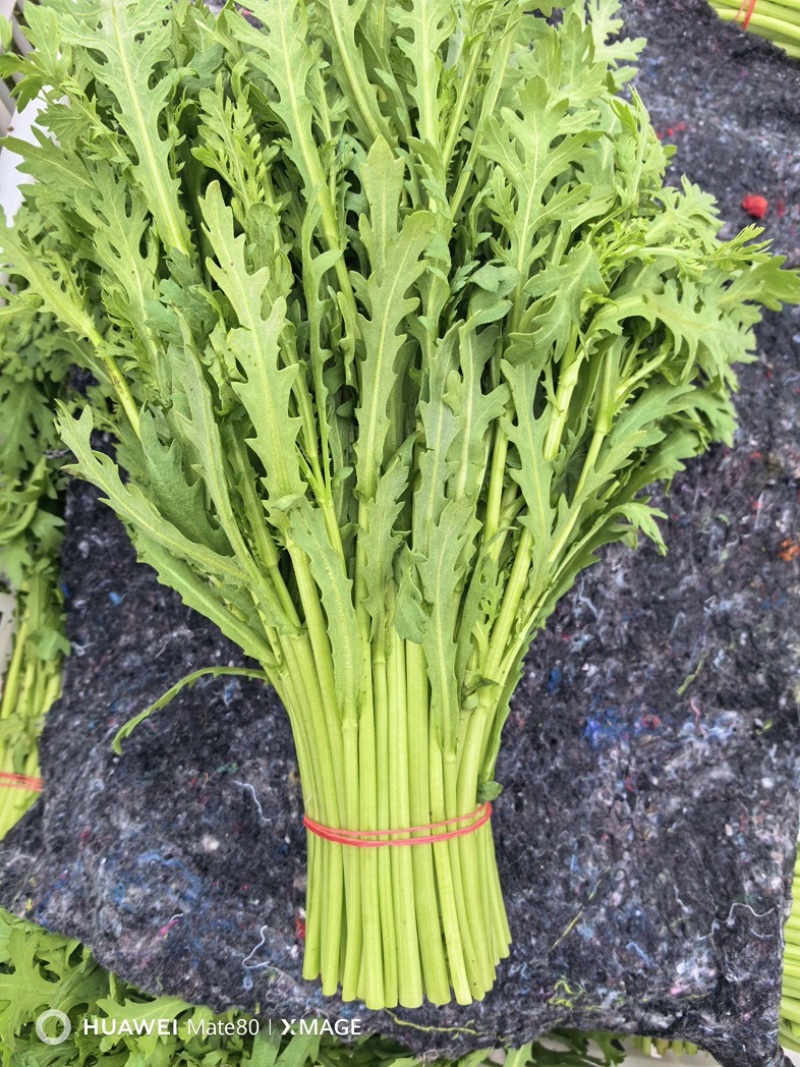 茼蒿/产区直发/大量有货/货源充足/欢迎选购