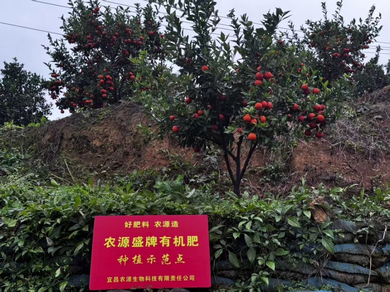生物有机肥颗粒氮磷钾5%有机质45%